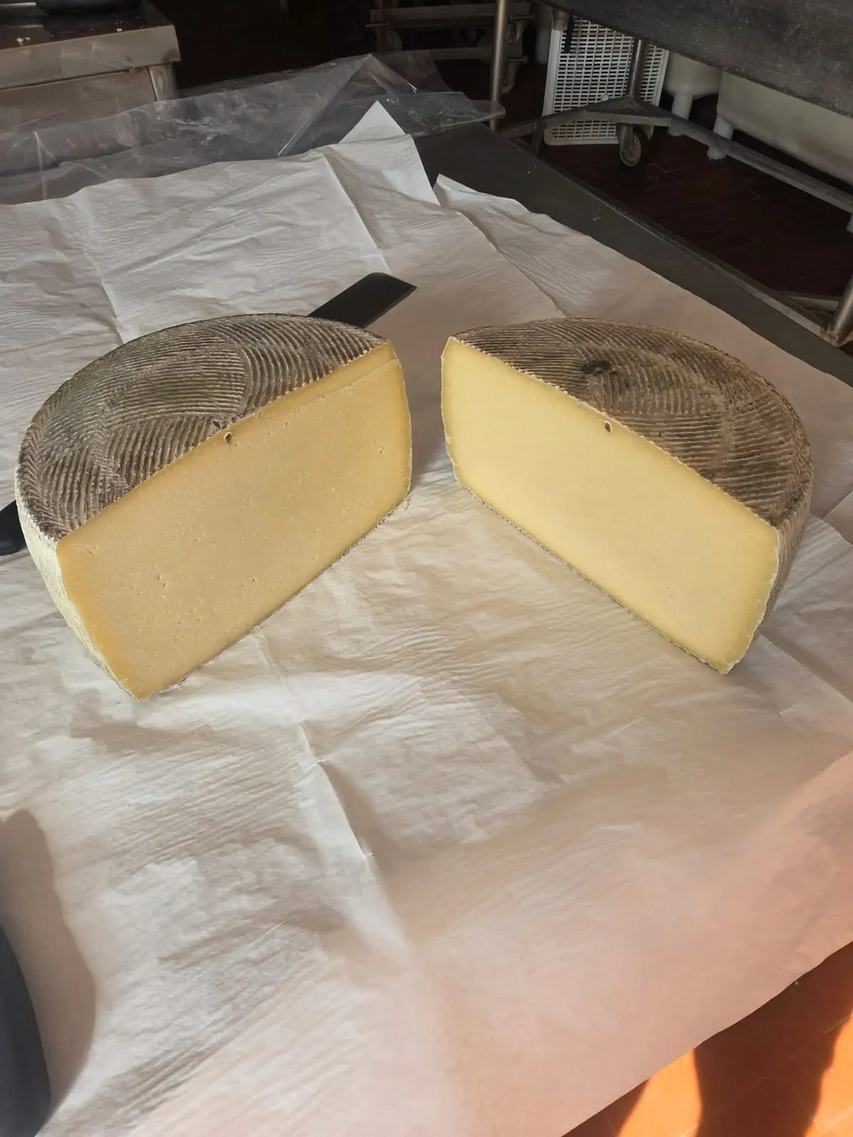 Una forma di formaggio stagionato aperta per mostrarne pasta e crosta