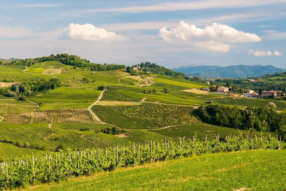Colline e vigneti dell’Oltrepò Pavese